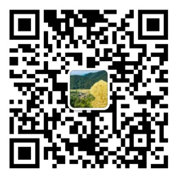 55世纪平台官网